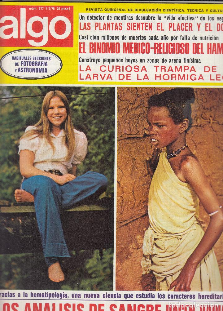 Coleccionismo de revistas y peri&oacute;dicos: REVISTA ALGO N&ordm; 277 A&Ntilde;O 1975. ANALISIS SANGRE IDEAS SOBRE LAS RAZAS CONTRAPORTADA: ESQUI ACUATICO.