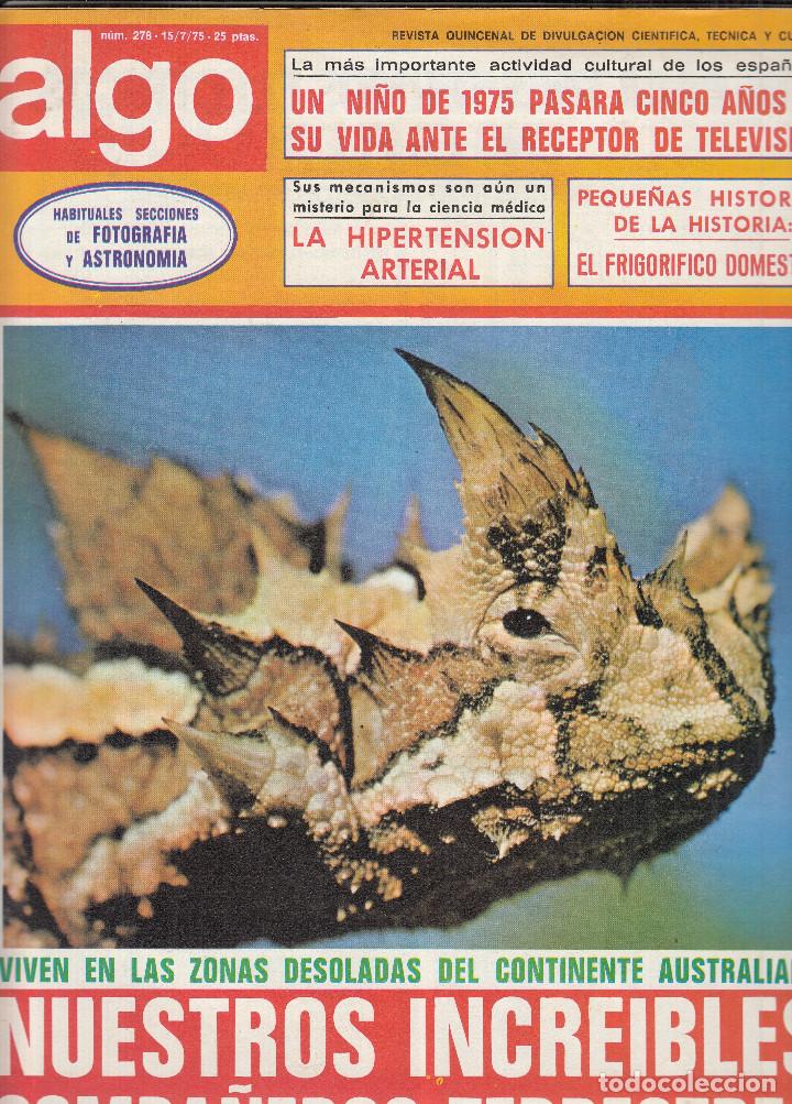 Coleccionismo de Revistas y Peri&oacute;dicos: REVISTA ALGO N&ordm; 278 A&Ntilde;O 1975. COMPA&Ntilde;EROS TERRESTRES CONTINENTE AUSTRALIANO. CONTRAPORTADA: CICLISMO