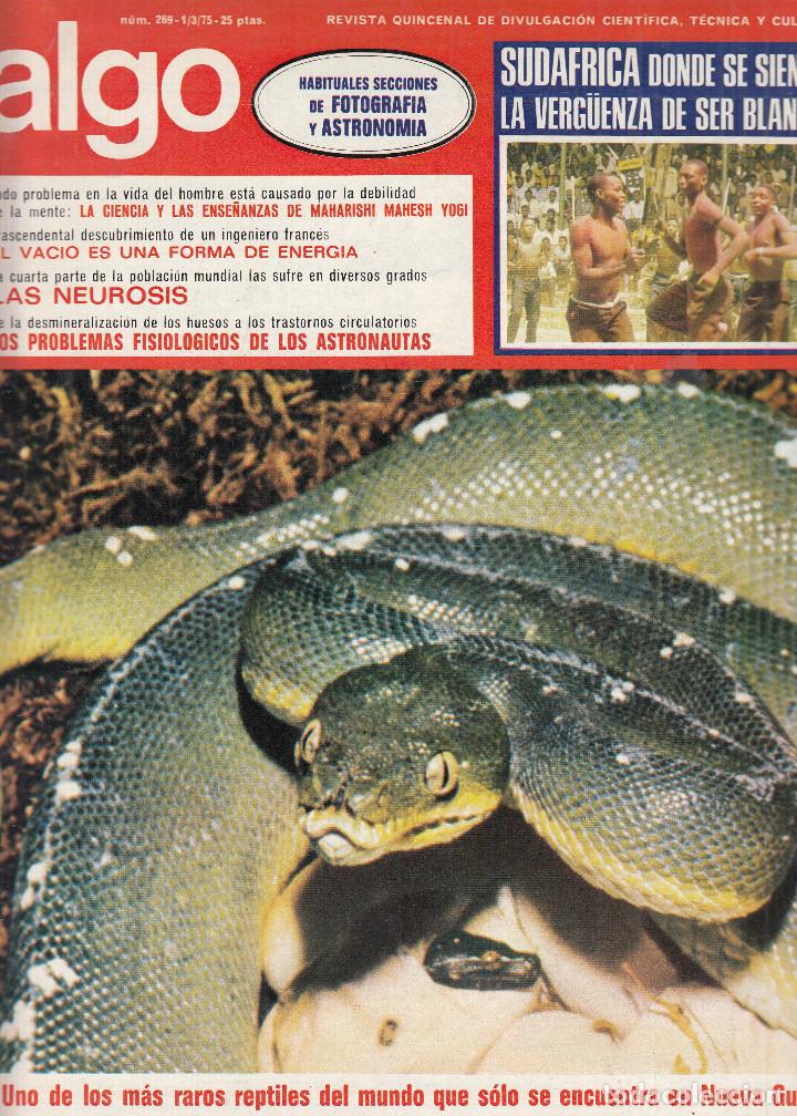 Coleccionismo de Revistas y Peri&oacute;dicos: REVISTA ALGO N&ordm; 269 A&Ntilde;O 1975. LA SERPIENTE PITON VERDE. CONTRAPORTADA: TENIS DE MESA.