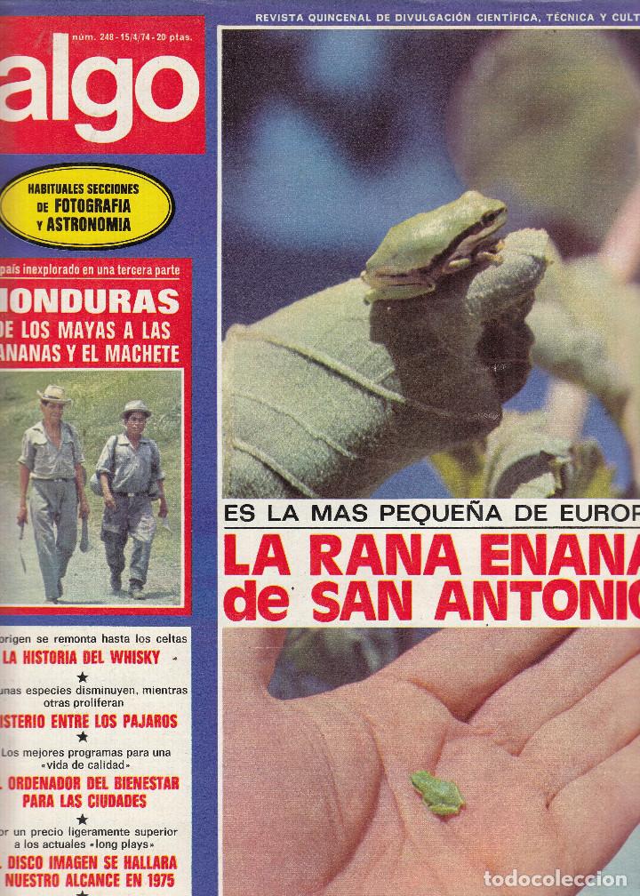 Coleccionismo de revistas y peri&oacute;dicos: REVISTA ALGO N&ordm; 248 A&Ntilde;O 1974. LA RANA ENANA DE SAN ANTONIO. CONTRAPORTADA: HONDA 750.