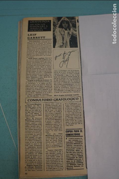 Coleccionismo de Revistas y Peri&oacute;dicos: RECORTE REPORTAJE CLIPPING DE LEIF GARRETT REVISTA SEMANA N&ordm; 2054 PAG 80