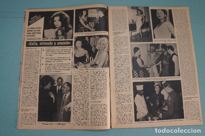 Coleccionismo de Revistas y Peri&oacute;dicos: RECORTE REPORTAJE CLIPPING DE SOFIA LOREN REVISTA SEMANA N&ordm; 2053 PAG 34-36