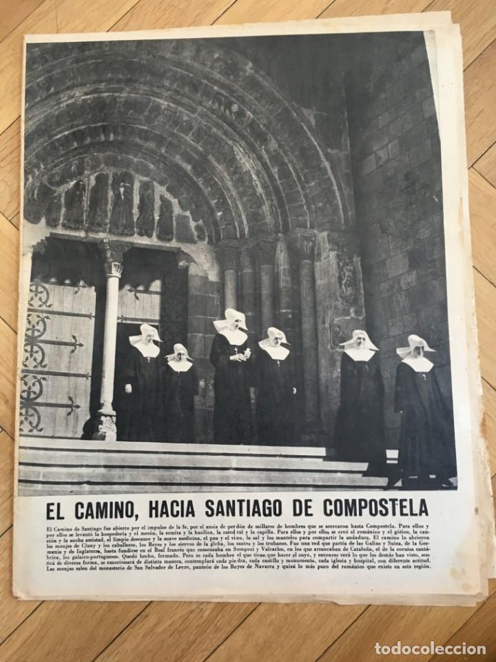Collezionismo di Riviste e Giornali: ARRIBA (25-7-65) CAMINO DE SANTIAGO COMPOSTELA LOGRO&Ntilde;O NAVARRA ULTREJA
