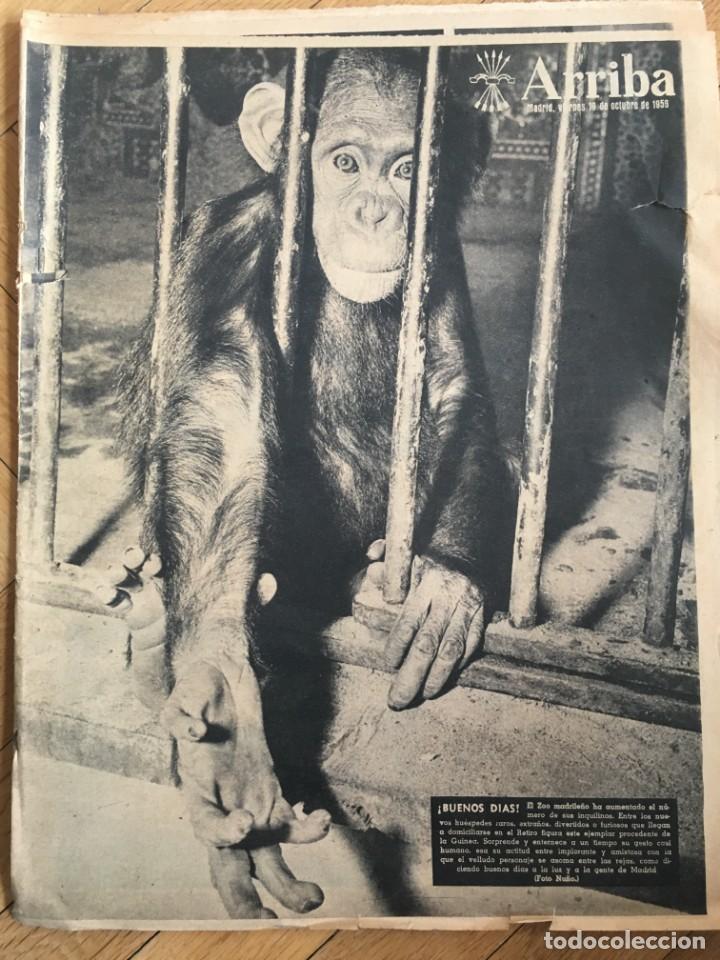 Sammeln von Zeitschriften und Zeitungen: ARRIBA (19-10-56) NUEVOS FAJINES AZULES ATOMO ATHLETIC BILBAO FUTBOL