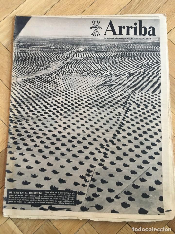Sammeln von Zeitschriften und Zeitungen: ARRIBA (15-1-56) GENOVA ITALIA ANTE PAVELIC ENERGIA ATOMICA MENENDEZ PELAYO