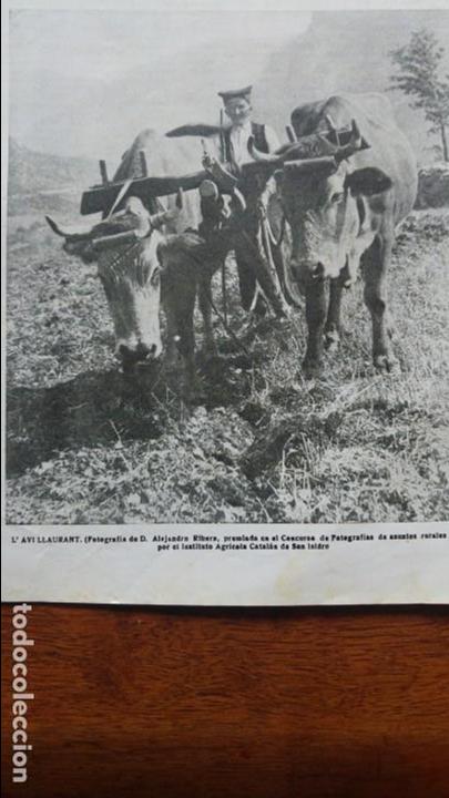 Collezionismo di Riviste e Giornali: NAV&Eacute;S SOLSONA INCA PALMA CHOQUE TREN TRANVIA BARCELONA INSTITUTO AGRICOLA CATALAN FOTOS A&Ntilde;O 1918