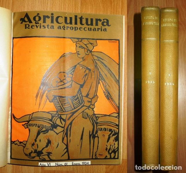 Colecionismo de Revistas e Jornais: AGRICULTURA : Revista agropecuaria. A&ntilde;o VI ; Enero a diciembre de 1934 ; N&uacute;ms. 61-72