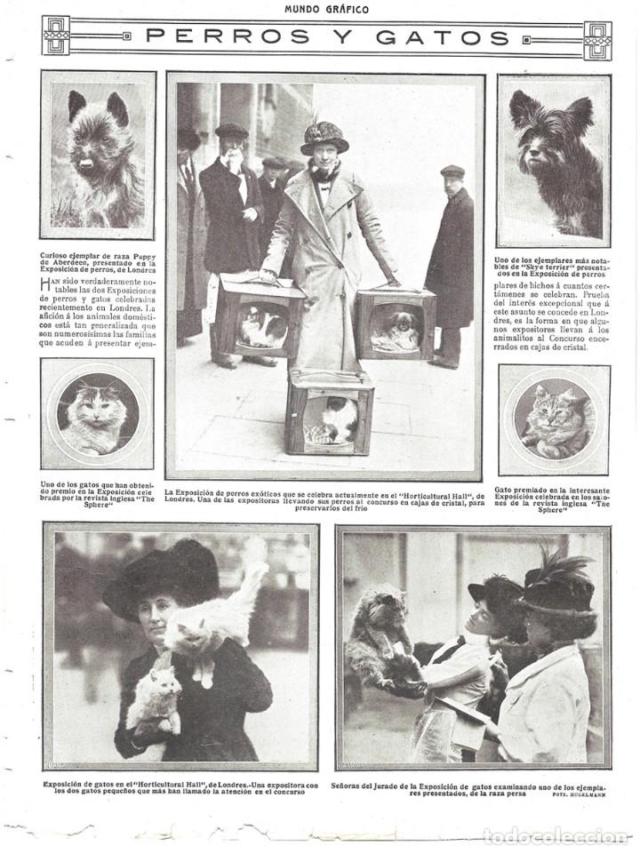 Coleccionismo de revistas y peri&oacute;dicos: 1914 HOJA REVISTA INGLATERRA LONDRES EXPOSICI&Oacute;N CONCURSO DE PERROS Y GATOS CAJAS TRANSPORTE