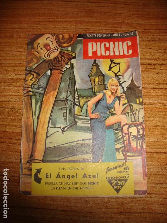 Collezionismo di Riviste e Giornali: REVISTA FEMENINA PICNIC N&ordm; 43