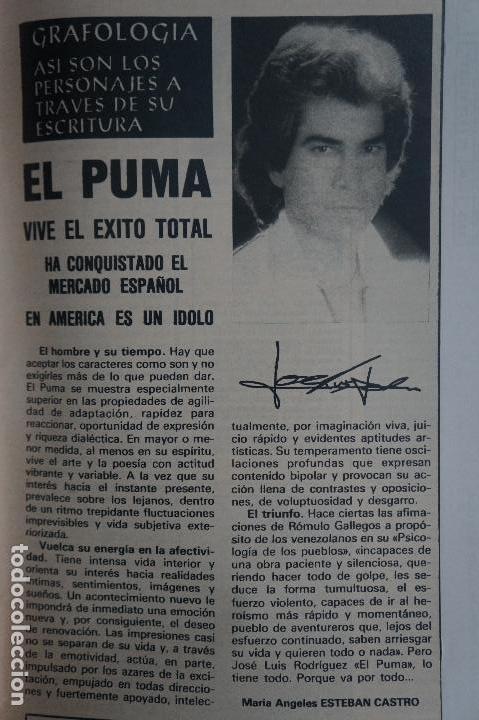Coleccionismo de Revistas y Peri&oacute;dicos: RECORTE REPORTAJE CLIPPING DE EL PUMA REVISTA SEMANA N&ordm; 2173 P&Aacute;G 113 L54