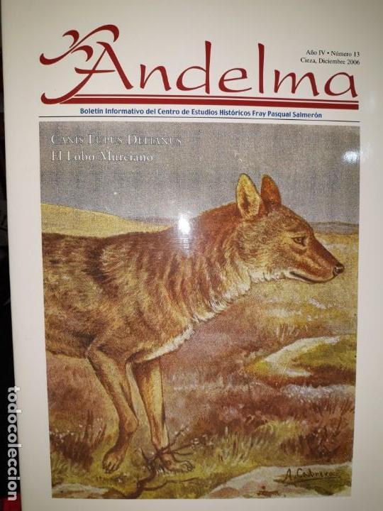 Coleccionismo de revistas y peri&oacute;dicos: ANDELMA N&ordm; 13 REVISTA 2006 HISTORIA DEL LOBO MONTA&Ntilde;AS MURCIA LEYENDAS INSTRUMENTOS MUSICALES M&Eacute;DICO