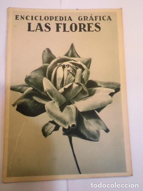 Coleccionismo de Revistas y Peri&oacute;dicos: REVISTA DE LA COLECCI&Oacute;N ENCICLOPEDIA GR&Aacute;FICA - LAS FLORES - 1930