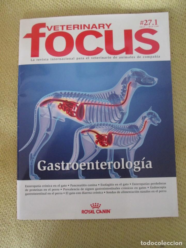 Coleccionismo de revistas y peri&oacute;dicos: VETERINARIA FOCUS - N 27 2017 GASTROENTEROLOG&Iacute;A