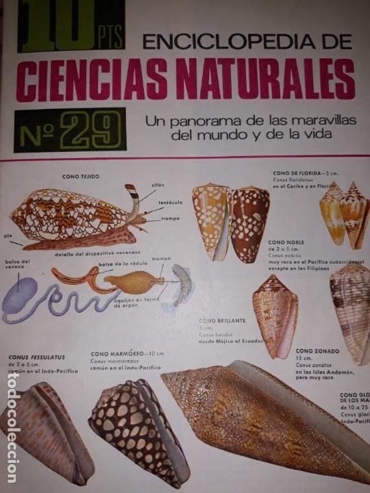 Coleccionismo de Revistas y Peri&oacute;dicos: FASC&Iacute;CULO ENCICLOPEDIA CIENCIAS NATURALES COLORES ANIMALES CONSTELACIONES CON&Iacute;FERAS CONGLOMERADOS
