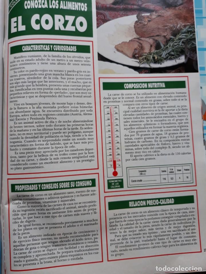 Collection Magazines and Newspapers: el corzo