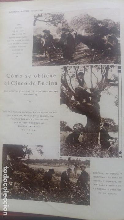 Coleccionismo de revistas y peri&oacute;dicos: COMO SE OBTIENE EL CISCO DE ENCINA MAESTRO CISQUERO 3 HOJAS A&Ntilde;O 1929