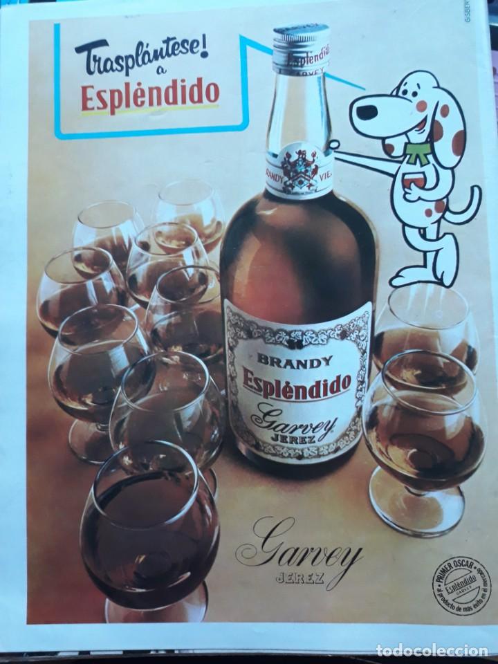 Coleccionismo de Revistas y Peri&oacute;dicos: anuncio brandy esplendido