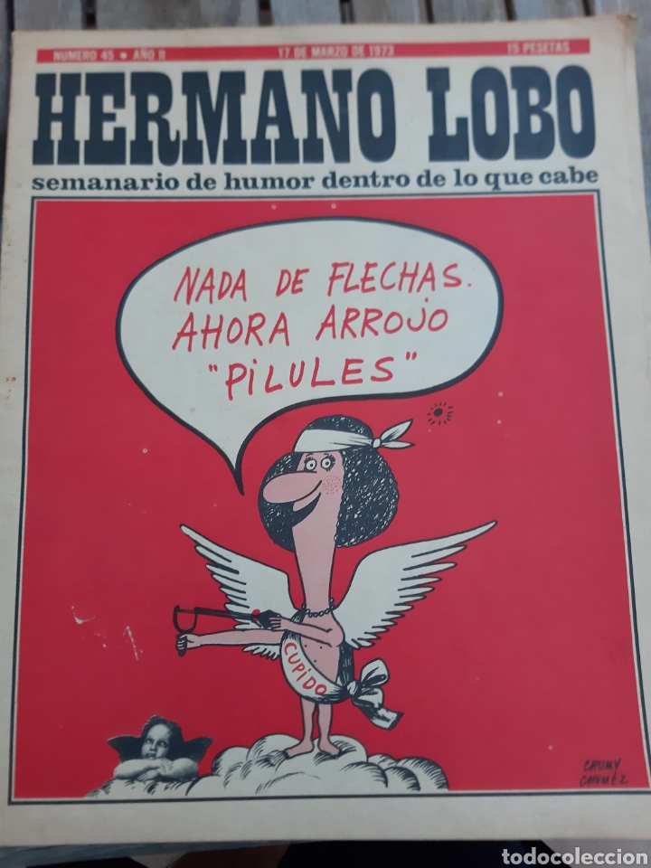 Colecionismo de Revistas e Jornais: Hermano lobo. N&deg; 45. A&ntilde;o II. 17 marzo 1973