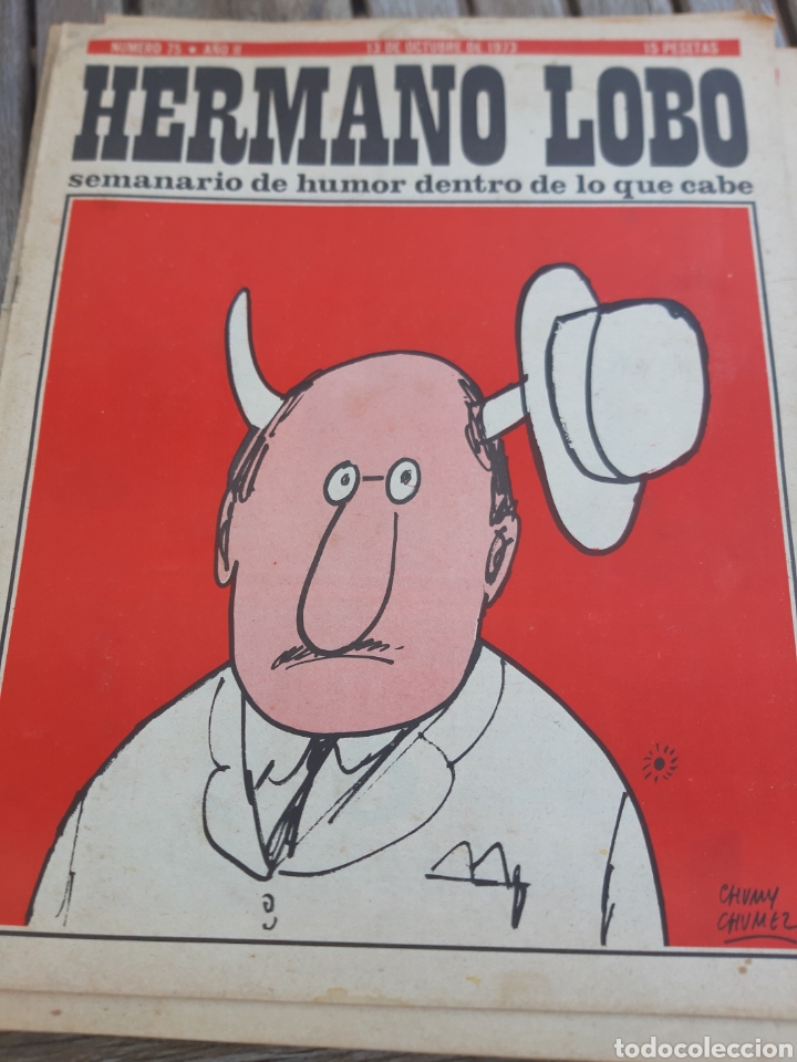 Coleccionismo de Revistas y Peri&oacute;dicos: Hermano lobo. N&deg; 75. A&ntilde;o II. 13 octubre 1973