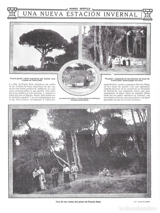 Coleccionismo de revistas y peri&oacute;dicos: 1912 HOJA REVISTA C&Aacute;DIZ PUERTO REAL PINAR EXPLANADA DE 'LAS CANTERAS' &Aacute;RBOL CENTENARIO 'PINO GORDO'