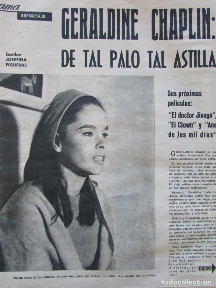 Coleccionismo de Revistas y Peri&oacute;dicos: RECORTE REVISTA AMA N&ordm; 116 1964 GERALDINE CHAPLIN 4 PGS