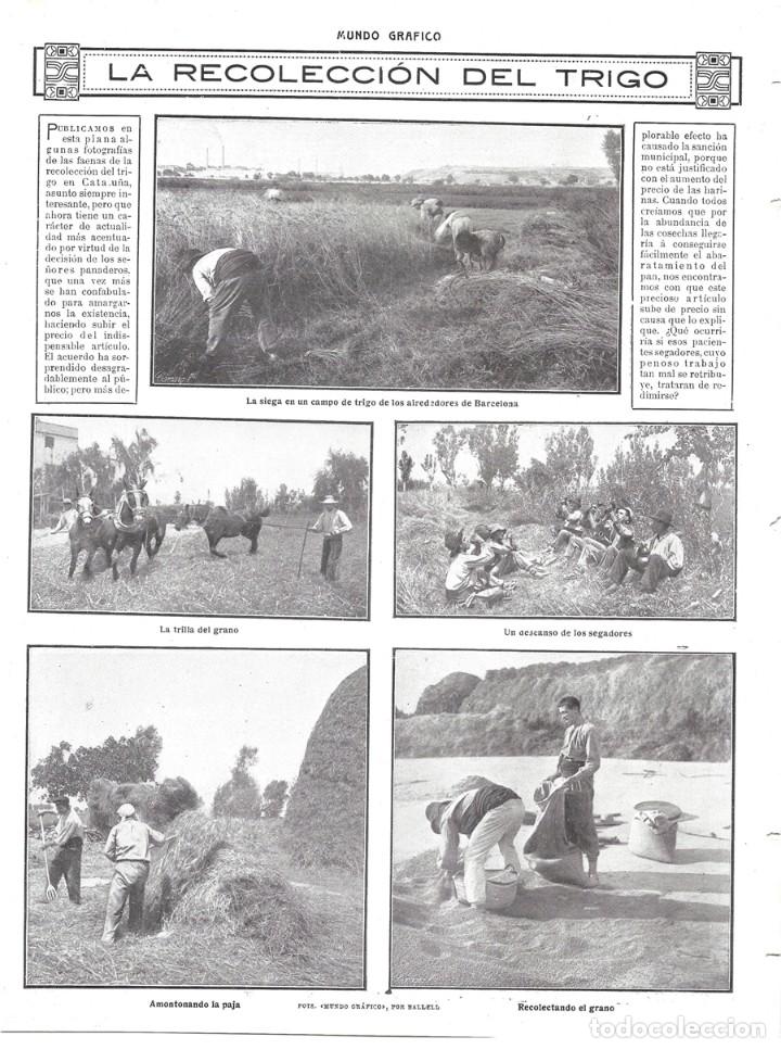 Collezionismo di Riviste e Giornali: 1913 HOJA REVISTA CATALU&Ntilde;A TRABAJOS DE RECOLECCI&Oacute;N DEL TRIGO SIEGA TRILLO ERA SEGADORES