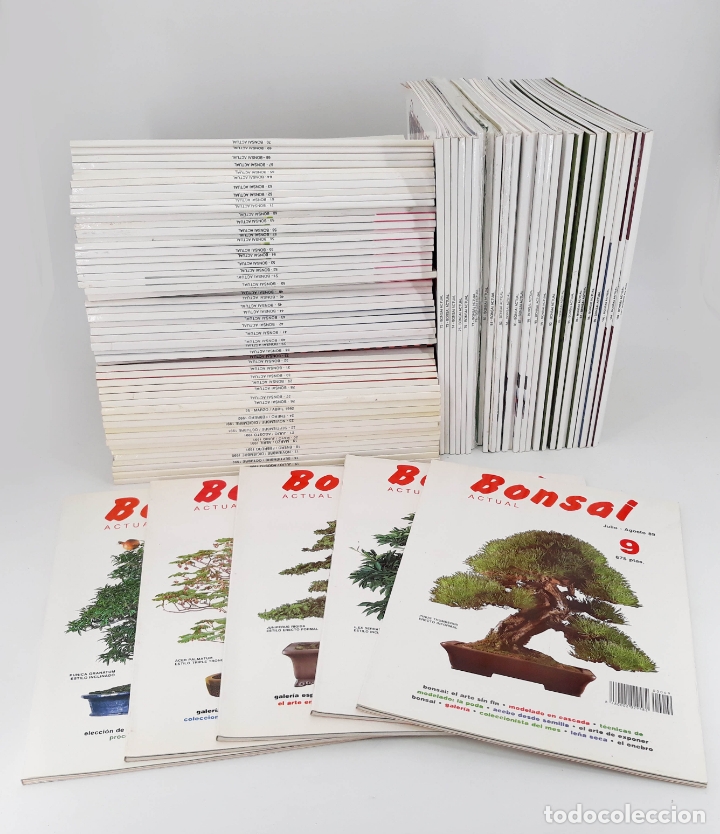 Coleccionismo de Revistas y Peri&oacute;dicos: BONSAI ACTUAL. LOTE DE 80 REVISTAS ENTRE EL 12 AL 103 (Vvaa) Tyris, 1988 preguntar listado