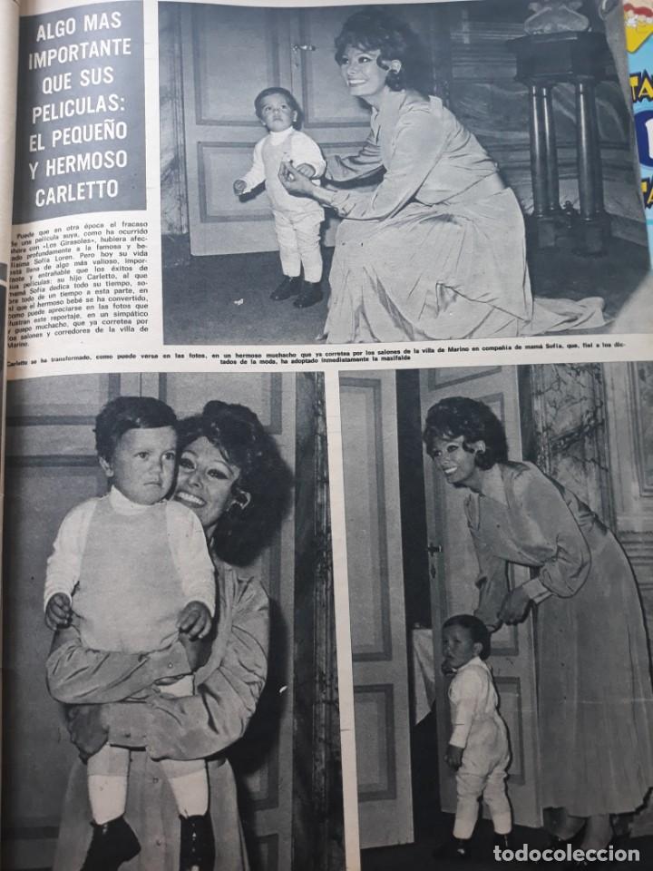 Coleccionismo de Revistas y Peri&oacute;dicos: sofia loren