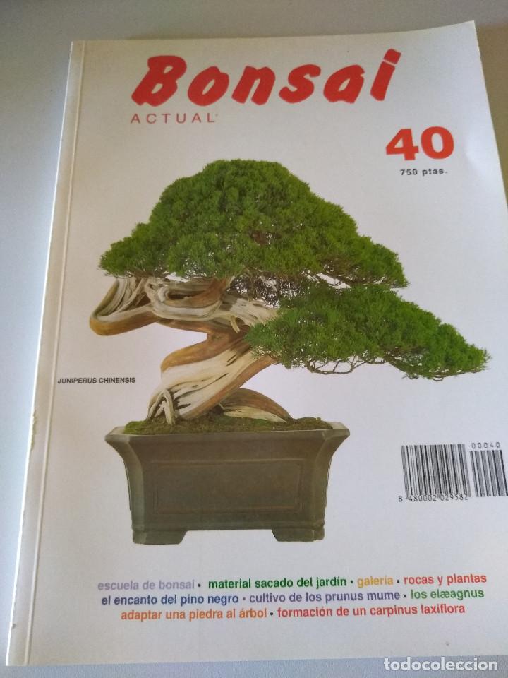 Sammeln von Zeitschriften und Zeitungen: REVISTA BONSAI ACTUAL N&ordm; 40