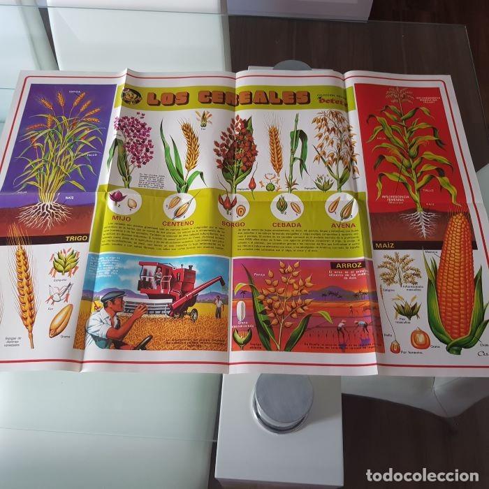 Coleccionismo de Revistas y Peri&oacute;dicos: L&Aacute;MINA-POSTER LOS CEREALES DE LA REVISTA PETETE,1983,BUEN ESTADO, MEDIDAS 80 X 56