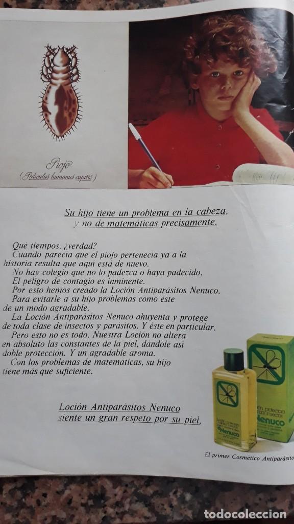 Coleccionismo de Revistas y Peri&oacute;dicos: anuncio nenuco anti piojos champu locion