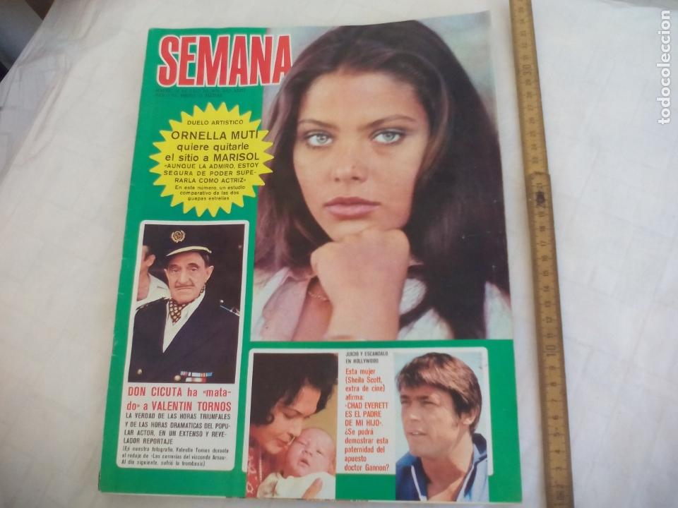 Coleccionismo de Revistas y Peri&oacute;dicos: REVISTA SEMANA NUM N&ordm; 1743. 14-7-1973. ORNELLA MUTI,, POSTER CARROL BAKER, DON CICUTA, CHAD EVERETT