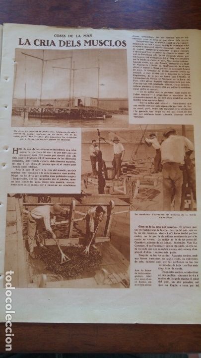 Collection Magazines and Newspapers: CRIA MUSCLOS UNIO MUSCLAIRE BARCELONA PASTORS LLUSSANES CERVERA MANUEL REDONDO REVISTA ANY 1930