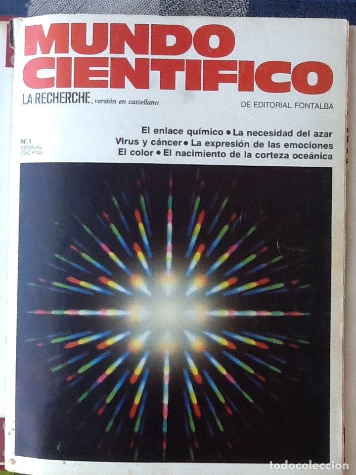 Coleccionismo de Revistas y Peri&oacute;dicos: MUNDO CIENT&Iacute;FICO 1-10 1981. ENCUADERNADO EN CARPETA DE VARILLAS. EDITORIAL FONTALBA
