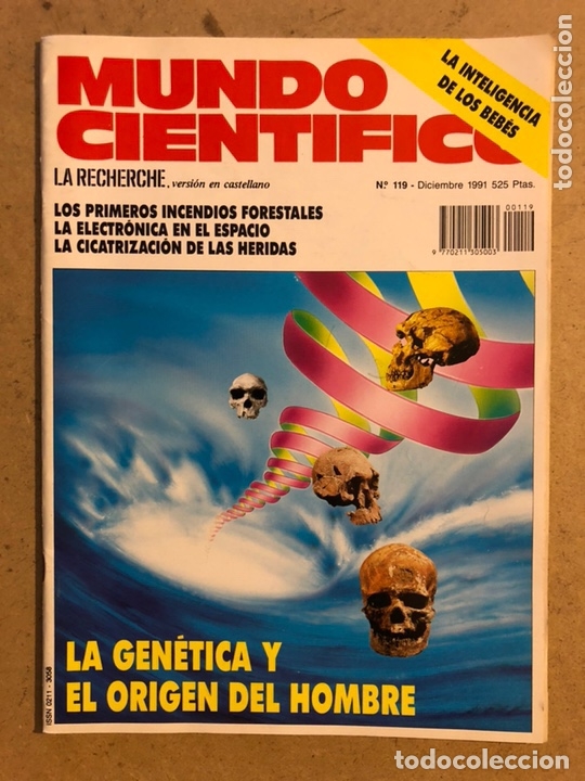 Collectionnisme de Revues et Journaux: MUNDO CIENT&Iacute;FICO N&deg; 119 (DICIEMBRE 1991). LA GEN&Eacute;TICA Y EL ORIGEN DEL HOMBRE, INTELIGENCIA BEB&Eacute;S,...