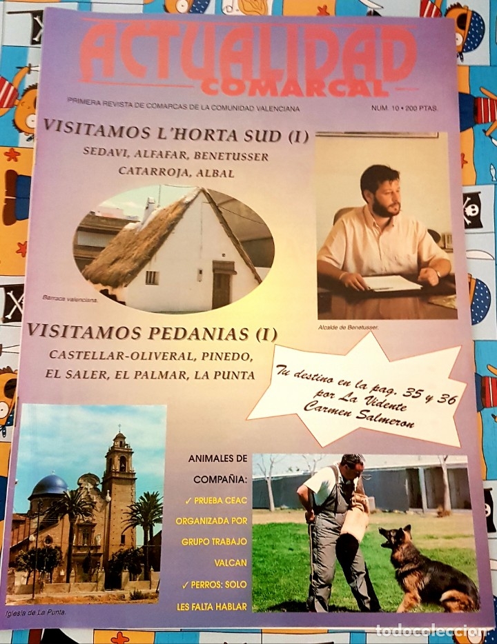 Coleccionismo de revistas y peri&oacute;dicos: Actualidad comarcal numero 10.L'horta Sud, Pedan&iacute;as.