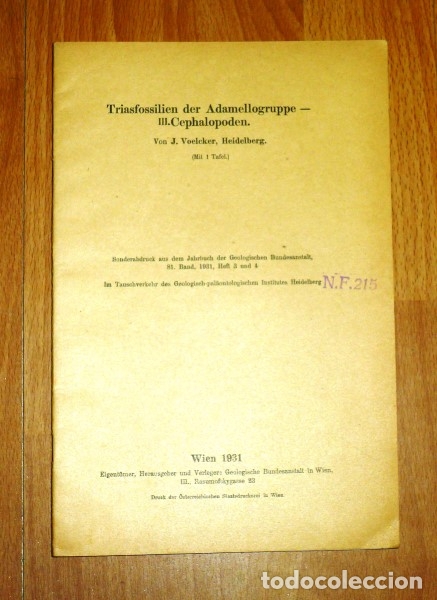 Sammeln von Zeitschriften und Zeitungen: VOLECKER, J. Triafossilien der Adamellogruppe. III : Cephalopoden (Separata)