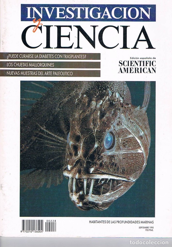 Colecionismo de Revistas e Jornais: REVISTA INVESTIGACION Y CIENCIA SCIENTIFIC AMERICAN SEPTIEMBRE 1995 **-