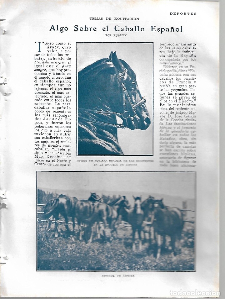 Sammeln von Zeitschriften und Zeitungen: BYN19 FEB 1928.N&ordm; 1918. ALGO SOBRE EL CABALLO ESPA&Ntilde;OL POR RUBRYK . ESCUELA ESPA&Ntilde;OLA DE LIPITZA