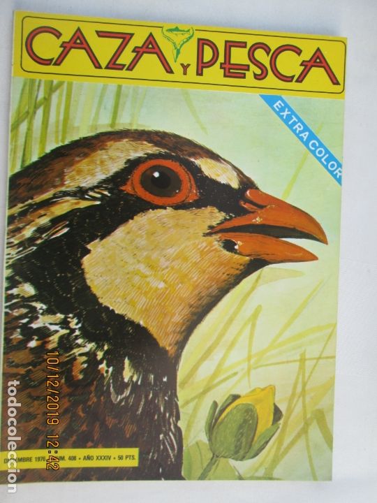 Coleccionismo de Revistas y Peri&oacute;dicos: CAZA Y PESCA , REVISTA N&ordm; 408 DICIEMBRE 1976 JAQUE A LA NATURALEZA , JAQUE A GREDOS EXTRA COLOR