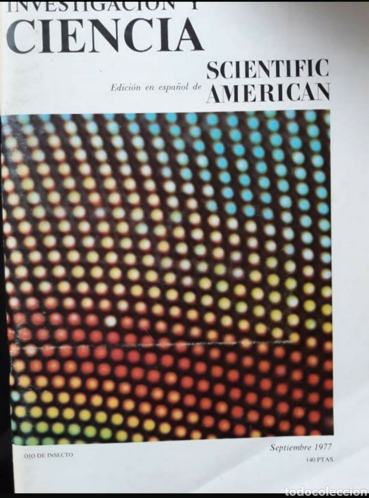 Collezionismo di Riviste e Giornali: REVISTAS INVESTIGACI&Oacute;N Y CIENCIA. Edici&oacute;n en espa&ntilde;ol de SCIENTIFIC AMERICAN. Sept 1977 y Nov. 1985