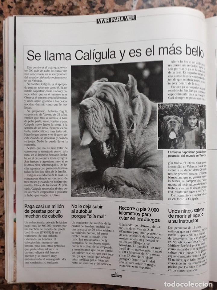 Coleccionismo de Revistas y Peri&oacute;dicos: mastin napolitano