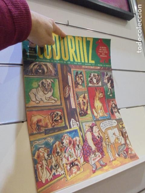Coleccionismo de Revistas y Peri&oacute;dicos: REVISTA DECANA DE LA PRENSA HUMORISTICA LA CODORNIZ N&ordm; 1731 A&Ntilde;O 1975