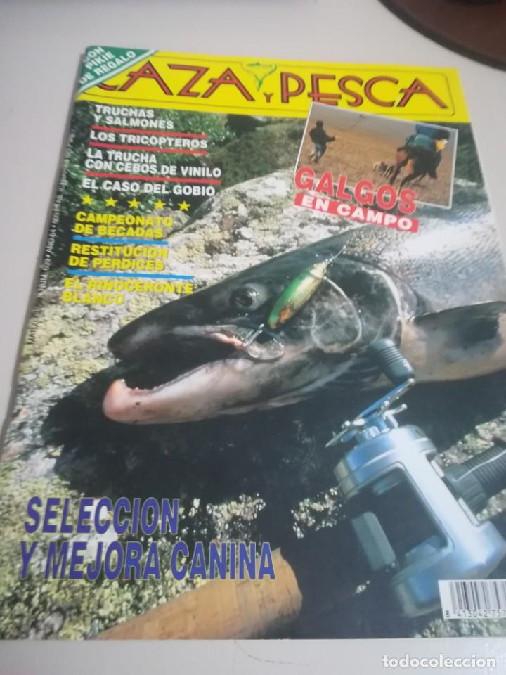 Collectionnisme de Revues et Journaux: Revista: CAZA Y PESCA. NUM,. 639 A&Ntilde;O 1996