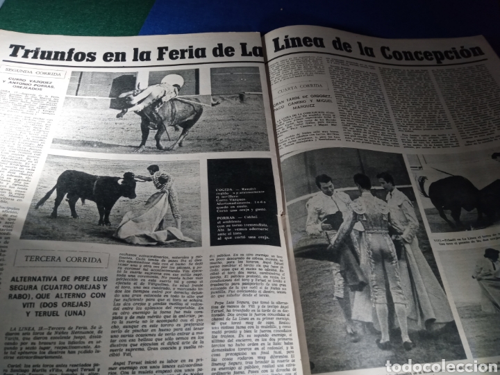 Coleccionismo de revistas y peri&oacute;dicos: La l&iacute;nea de la concepci&oacute;n. El Viti. Revista el Ruedo