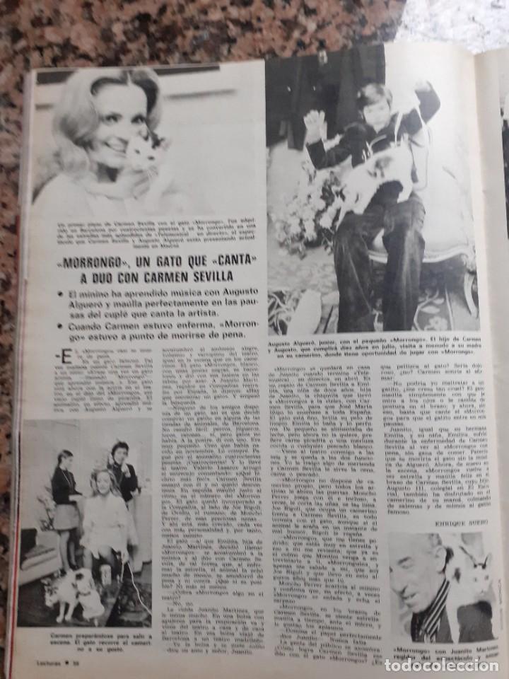 Coleccionismo de Revistas y Peri&oacute;dicos: el morrongo de carmen sevilla