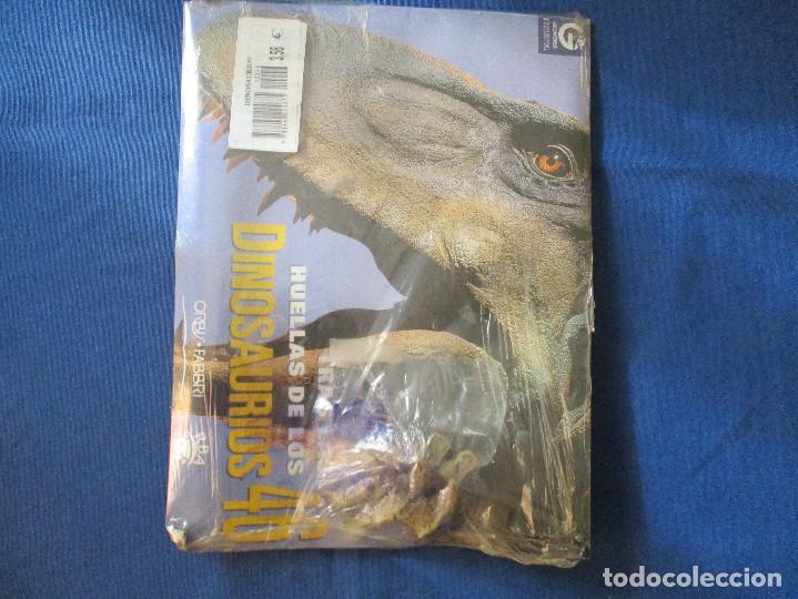 Coleccionismo de revistas y peri&oacute;dicos: TRAS LAS HUELLAS DE LOS DINOSAURIOS - FASC&Iacute;CULO N.&ordm; 46 ORBIS&middot;FABRI / RBA
