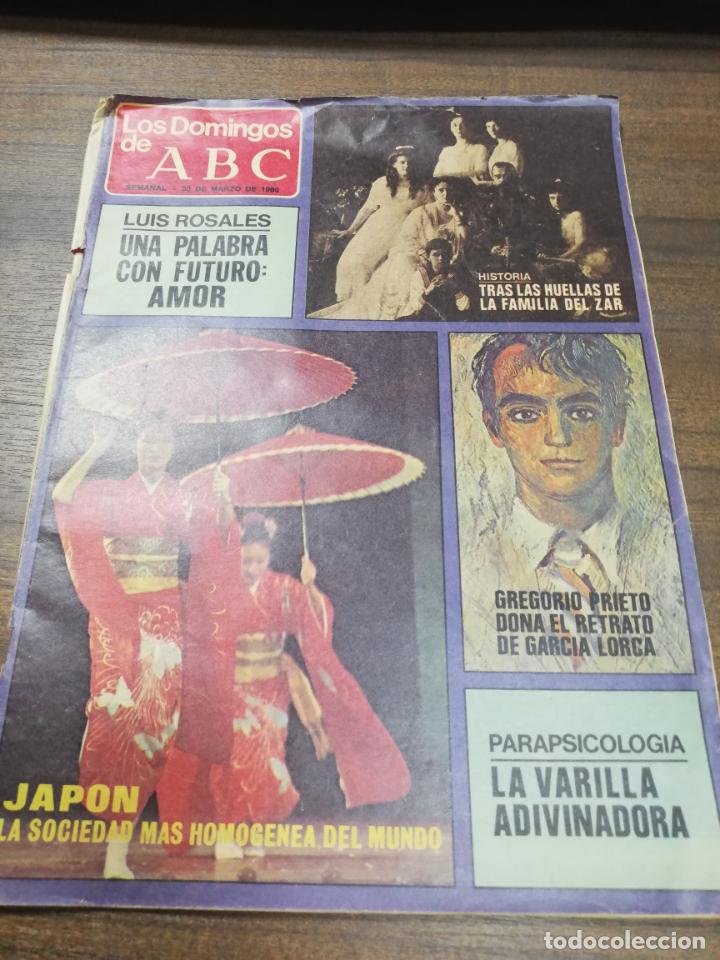 Coleccionismo de Revistas y Peri&oacute;dicos: LOS DOMINGOS DE ABC. SEMANAL. 30 MARZO DE 1980. TRAS LAS HUELLAS DE LA FAMILIA ZAR.