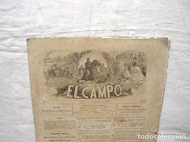 Collezionismo di Riviste e Giornali: SIGLO XIX-REVISTA EL CAMPO-CARRERAS CABALLOS MADRID LAPORTA-BOLET&Iacute;N SOCIEDAD FOMENTO CR&Iacute;A CABALLAR