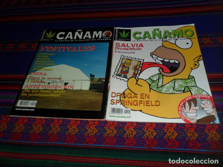 Coleccionismo de Revistas y Peri&oacute;dicos: C&Aacute;&Ntilde;AMO 51 MARZO 02 LOS SIMPSONS DROGA EN SPRINGFIELD. REGALO 46 FESTIVALES. CON LOS P&Oacute;STERS. BE.